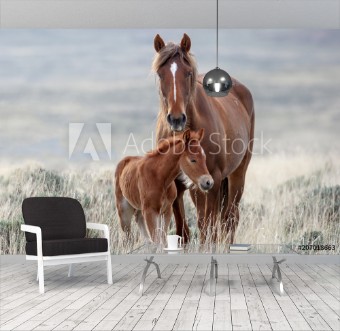 Picture of Wild Horses